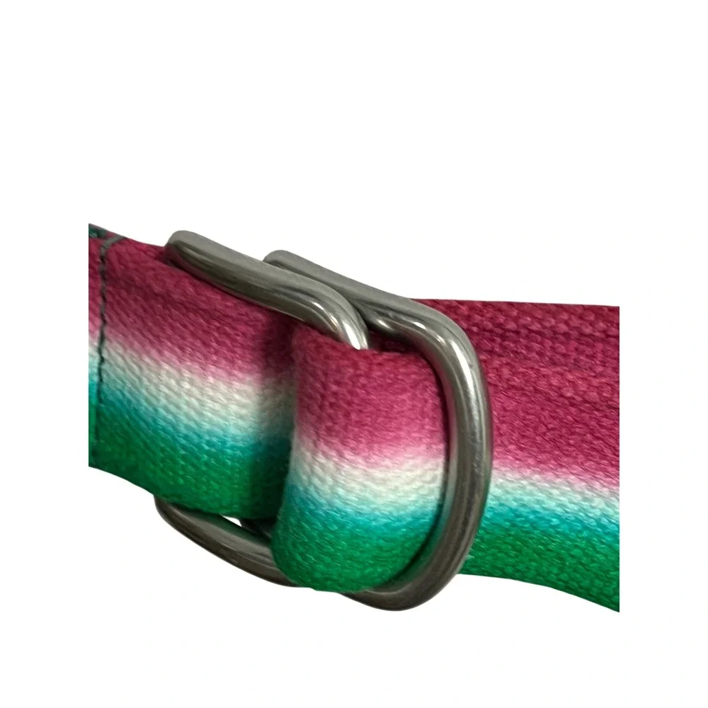 Polo Ralph Lauren D-Ring Belt Mens OS Green Pink Ombre Striped Preppy Canvas A61